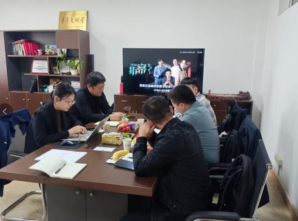 江蘇客戶一行來(lái)我公司就硅烷爐設(shè)備考察交流
